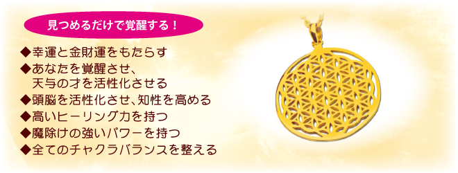 �S�[���h�t�����[