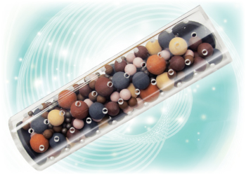 �h�N�^�[�\�}�`�b�h���EDX