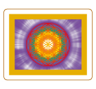 �t�����[�I�u���C�t�p���[�J�[�h