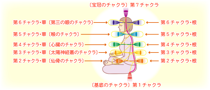 �g�̃`���N���̉؁E��