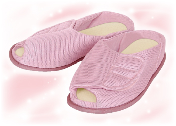 �h�N�^�[�t�b�g��