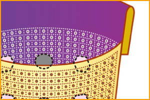 �����C���[�W�}