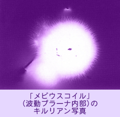 �L�����A���ʐ^